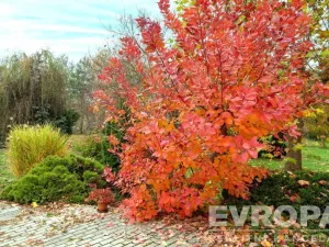 Prodej rodinného domu, Praha - Lipence, Josefa Houdka, 958 m2