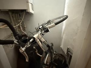 Pronájem bytu 3+kk, Mariánské Lázně, Třebízského, 100 m2