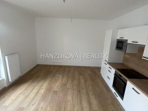 Pronájem bytu 3+kk, České Budějovice, Hálkova, 54 m2