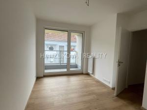 Pronájem bytu 3+kk, České Budějovice, Hálkova, 54 m2