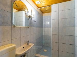 Prodej ubytování, Dolní Dvořiště - Jenín, 341 m2