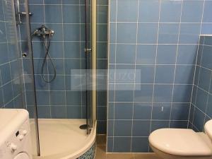 Pronájem bytu 1+kk, Praha, Na Slatince, 36 m2