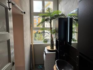 Pronájem bytu 1+kk, Praha, U libeňského pivovaru, 30 m2