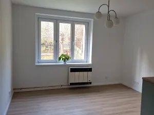 Pronájem bytu 2+kk, Praha - Smíchov, Křížová, 42 m2