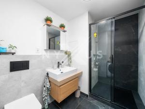 Prodej bytu 2+kk, Praha - Žižkov, Chlumova, 48 m2