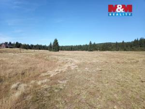 Prodej louky, Kořenov - Jizerka, 18695 m2