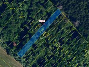 Dražba lesa, Ivančice, 409 m2