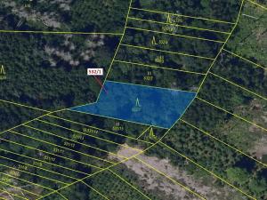 Dražba lesa, Havlíčkův Brod, 870 m2