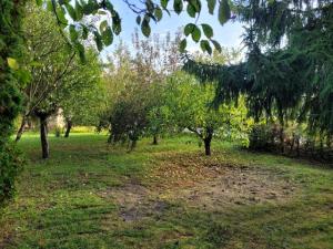 Prodej rodinného domu, Vlčí Habřina, 75 m2