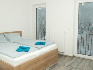 Prodej bytu 2+kk, Dolní Morava - Velká Morava, 63 m2