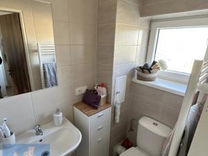 Pronájem bytu 1+kk, Škvorec - Třebohostice, 29 m2