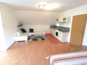 Pronájem bytu 1+kk, Praha, Květnového povstání, 60 m2