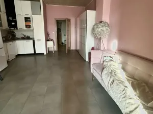 Pronájem bytu 1+kk, Praha - Libeň, Českomoravská, 50 m2