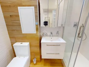 Prodej bytu 2+1, Most, Zdeňka Fibicha, 54 m2