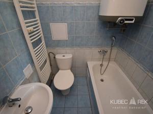 Pronájem bytu 1+1, Milevsko, P. Bezruče, 32 m2