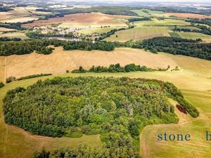 Prodej lesa, Zvěstov, 45954 m2