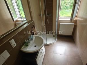 Pronájem bytu 1+kk, České Budějovice - České Budějovice 2, U Lesa, 26 m2