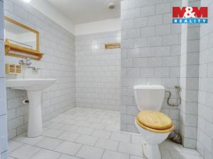 Prodej rodinného domu, Plzeň - Severní Předměstí, V Lužánkách, 183 m2