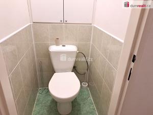 Pronájem bytu 1+1, Ústí nad Labem - Ústí nad Labem-centrum, Růžový palouček, 32 m2