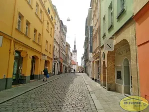 Pronájem obchodního prostoru, Olomouc, Ostružnická, 149 m2