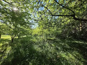 Prodej pozemku pro bydlení, Plzeň, Pod Valíkem, 879 m2