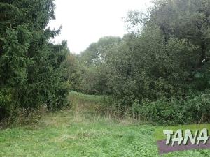 Prodej pozemku pro bydlení, Mladějov, 382 m2