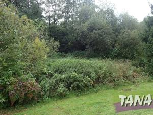 Prodej pozemku pro bydlení, Mladějov, 382 m2