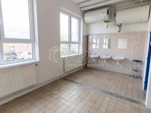 Pronájem výrobních prostor, Frenštát pod Radhoštěm, Martinská čtvrť, 966 m2