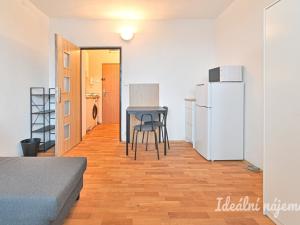 Pronájem bytu 1+kk, Brno, Jedovnická, 20 m2