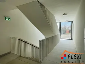 Pronájem bytu 1+kk, Ostrava, U Hájenky, 29 m2