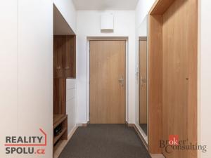 Pronájem bytu 1+kk, Brno, Říčanská, 33 m2