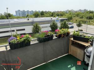 Pronájem bytu 1+kk, Brno, Říčanská, 33 m2