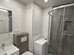 Pronájem bytu 1+kk, Plzeň, Sokolovská, 34 m2