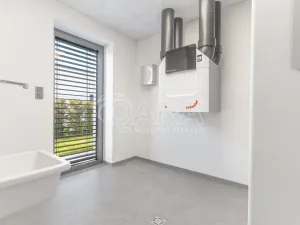 Pronájem rodinného domu, Vestec, V Lukách, 313 m2