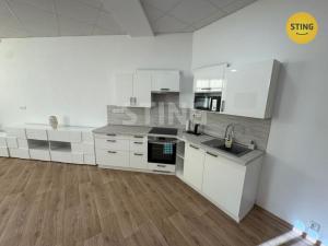 Pronájem bytu 3+kk, Frýdek-Místek, Havlíčkova, 118 m2