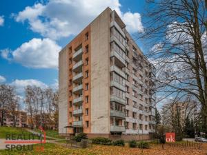 Prodej bytu 2+1, Rychnov nad Kněžnou, Na Trávníku, 62 m2