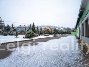Pronájem skladu, Bojkovice, 234 m2