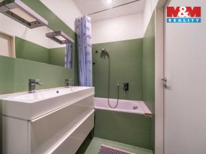 Pronájem bytu 1+kk, Plzeň, Vrchlického, 27 m2