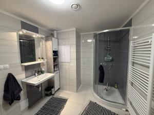 Pronájem bytu 3+kk, Pardubice - Zelené Předměstí, Hronovická, 100 m2