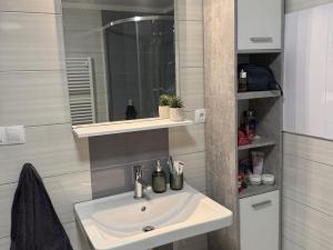 Pronájem bytu 3+kk, Pardubice - Zelené Předměstí, Hronovická, 100 m2