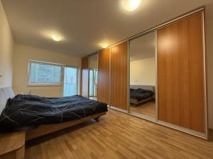 Pronájem bytu 3+kk, Pardubice - Zelené Předměstí, Hronovická, 100 m2