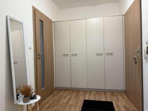 Pronájem bytu 3+kk, Pardubice - Zelené Předměstí, Hronovická, 100 m2