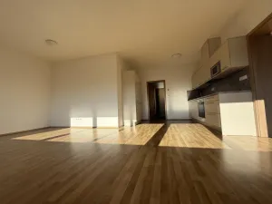 Pronájem bytu 3+kk, Pardubice - Zelené Předměstí, Hronovická, 100 m2