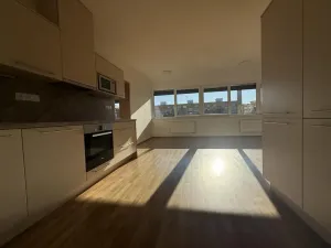 Pronájem bytu 3+kk, Pardubice - Zelené Předměstí, Hronovická, 100 m2