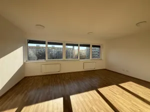 Pronájem bytu 3+kk, Pardubice - Zelené Předměstí, Hronovická, 100 m2