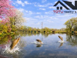 Prodej rybníku, Černožice, 44772 m2