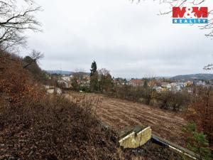 Prodej pozemku pro bydlení, Svinošice, 3250 m2