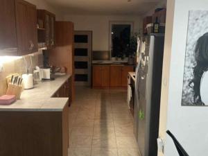 Prodej rodinného domu, Velké Bílovice, Čejkovská, 385 m2