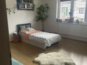 Prodej rodinného domu, Velké Bílovice, Čejkovská, 385 m2