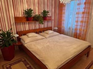 Pronájem bytu 2+kk, Praha, Pickova, 64 m2